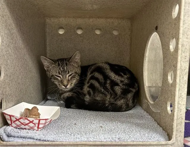 Rugby