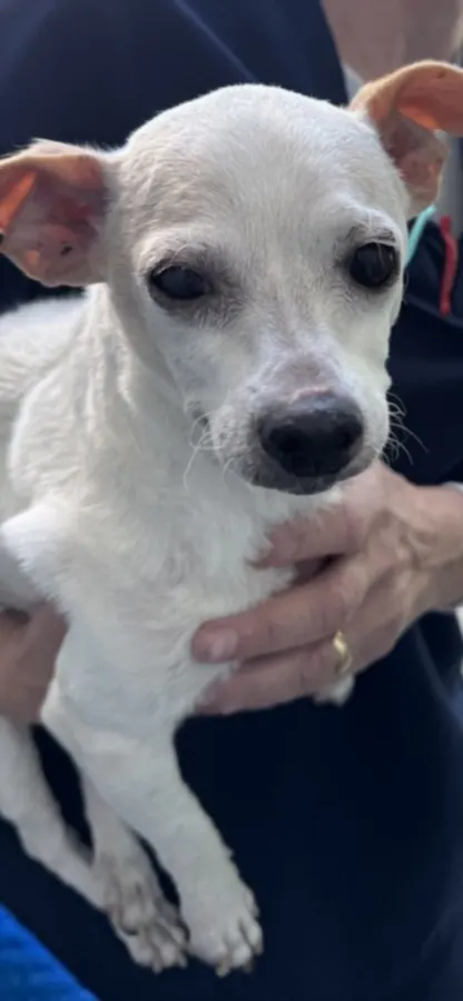 Kiki