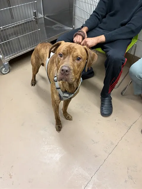 Roscoe