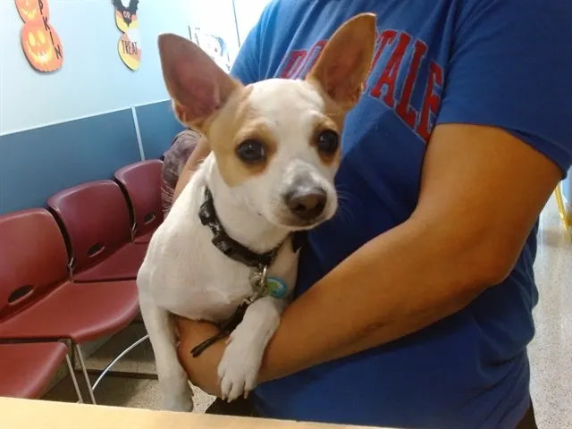 Coco