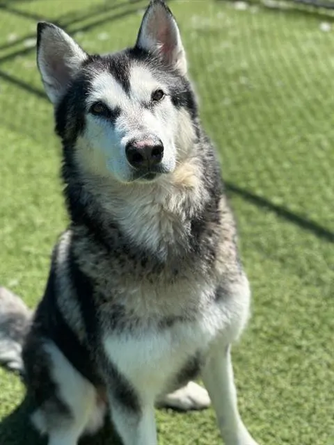Luna