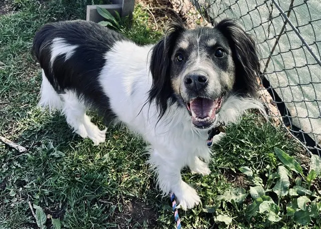 Zoe