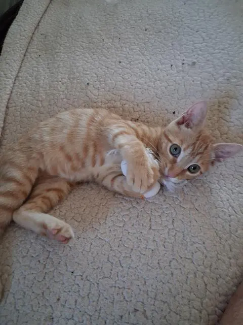 Twix