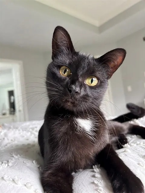 Charles