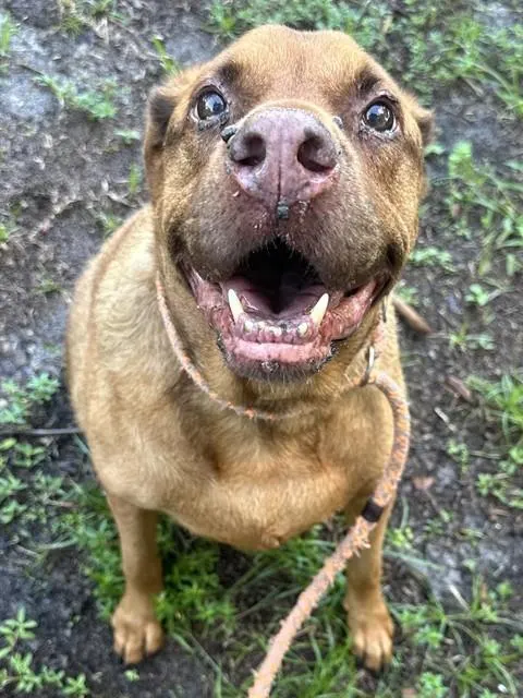 Copper
