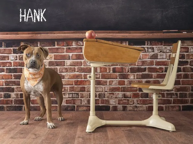 Hank