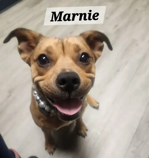 Marnie