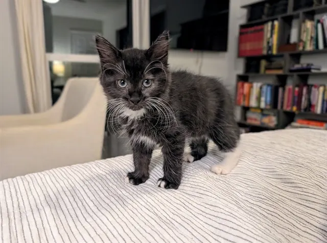 Dorothy