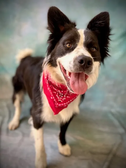 Max