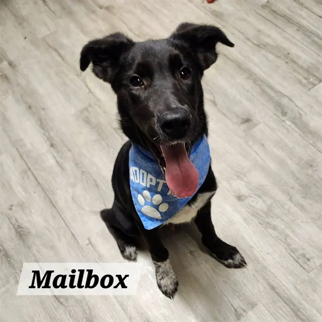 Mailbox