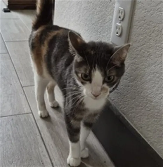 Luna
