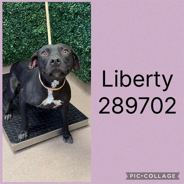 Liberty