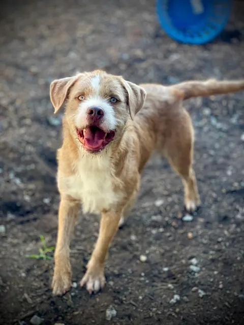 Max