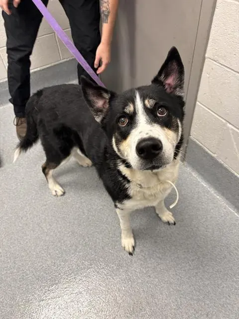 Max