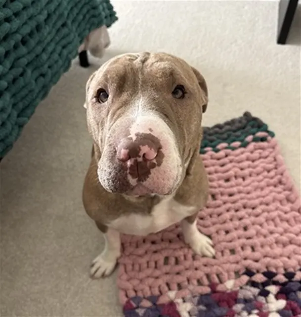 Rosie