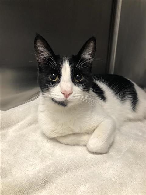Kiki