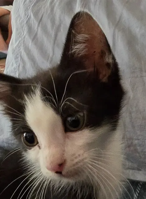 Zoey