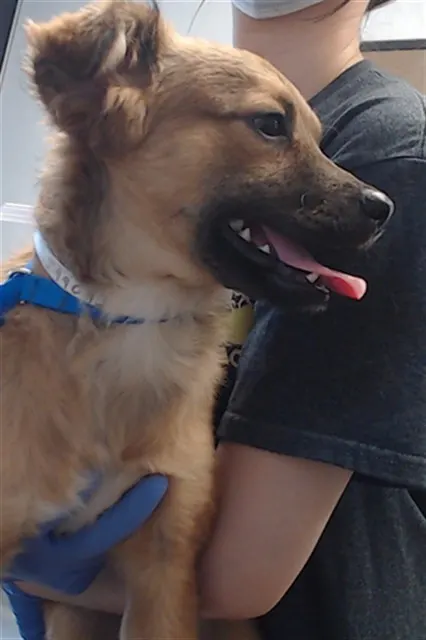 Zeke