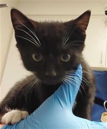 *Creed