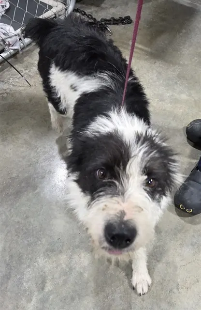 Bernedette