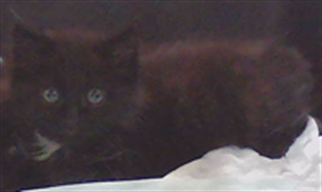 Billy