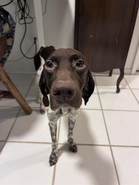 Oakley Mae