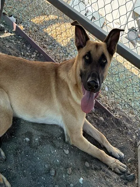 Max