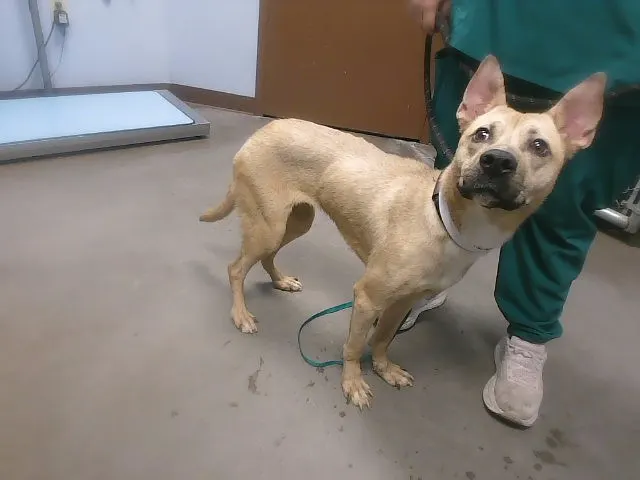 Precious