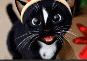 Oreo