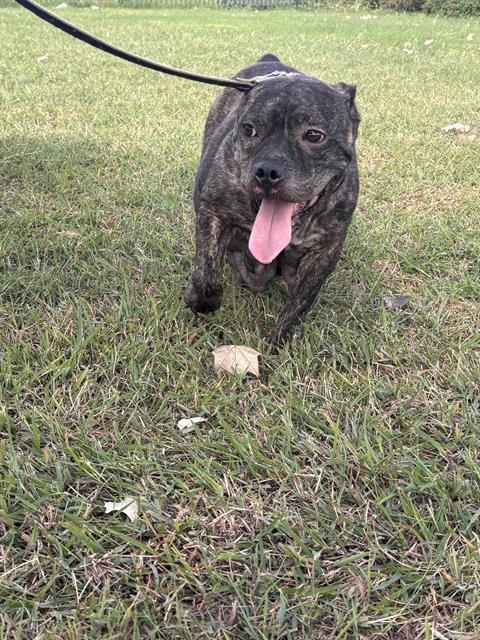 Lucy