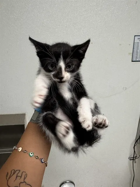 Tux