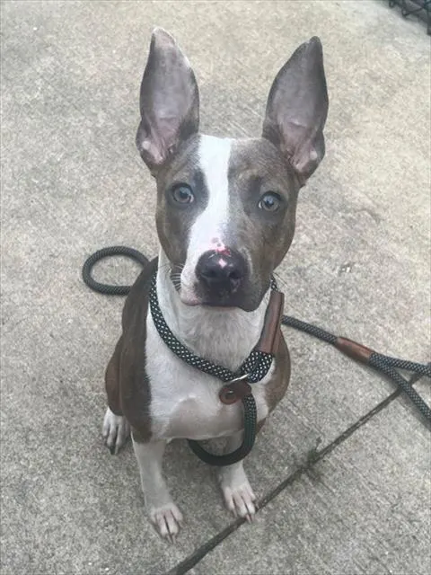 Zoe
