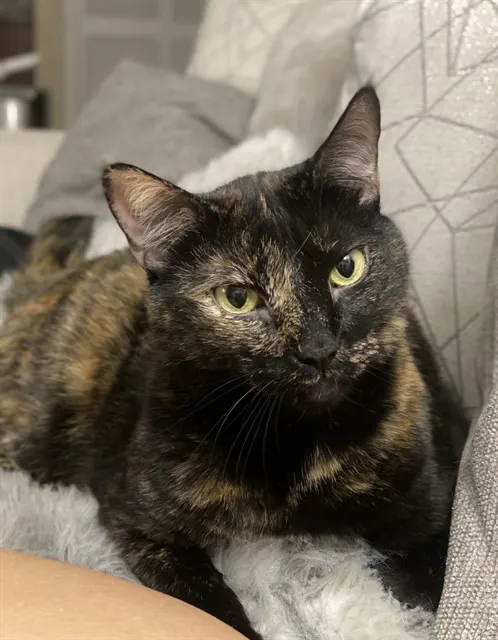 Mia