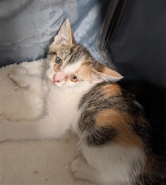 *Marbles