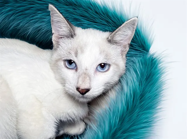 Casper