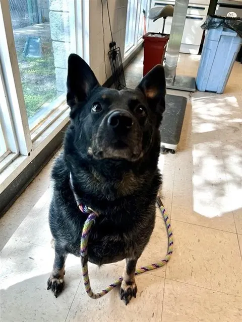 Tucker