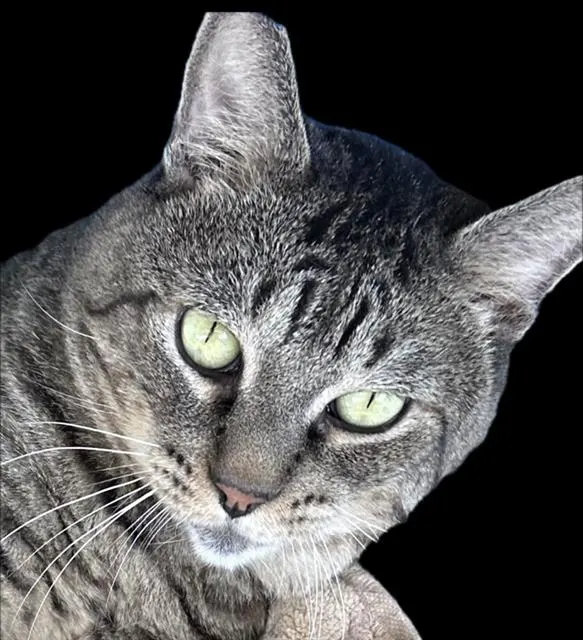 Solomon