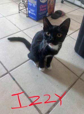 Izzy