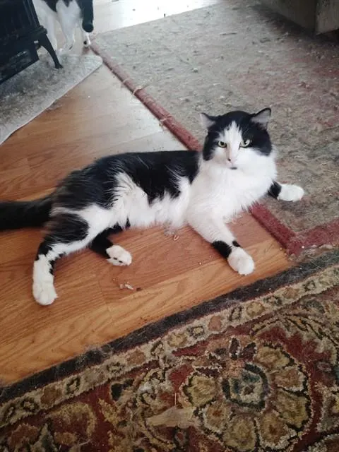 Rudy