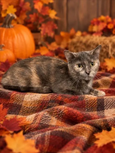 October