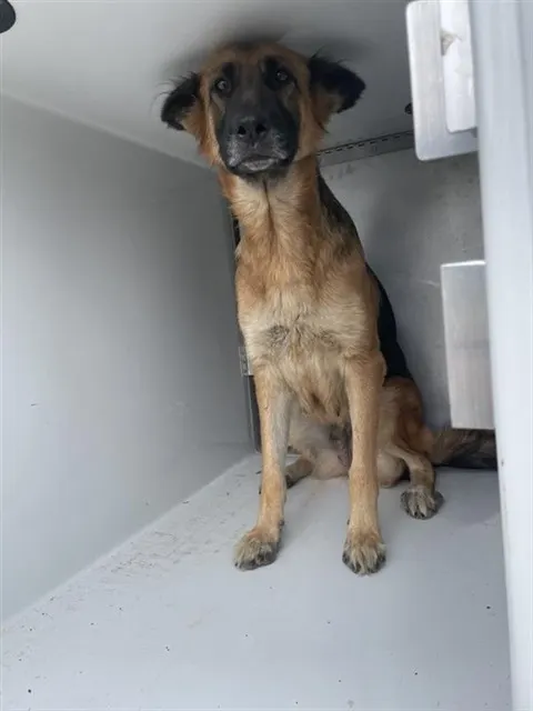 Luna