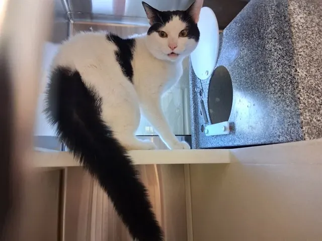 Marty