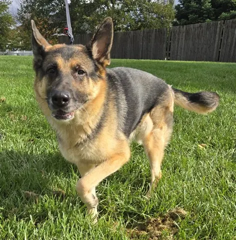 Mia