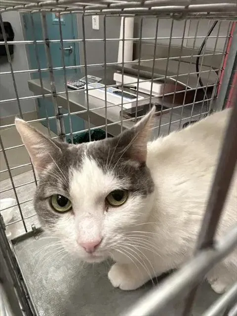 Tina