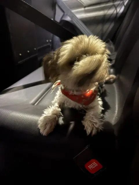 Maco