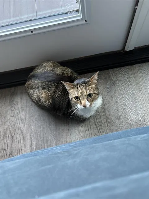 Hunter
