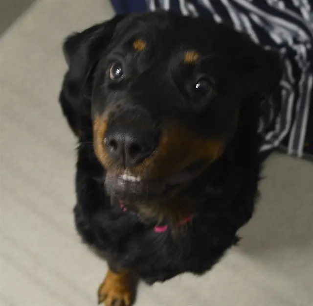Brenda