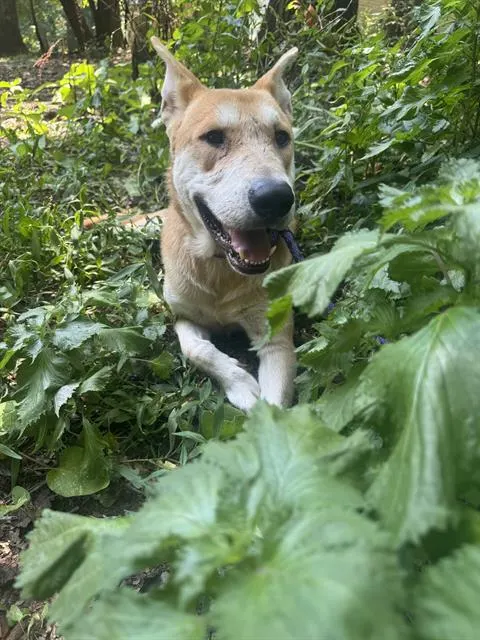 Sebastian