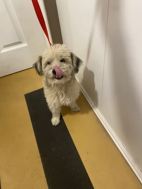Benson