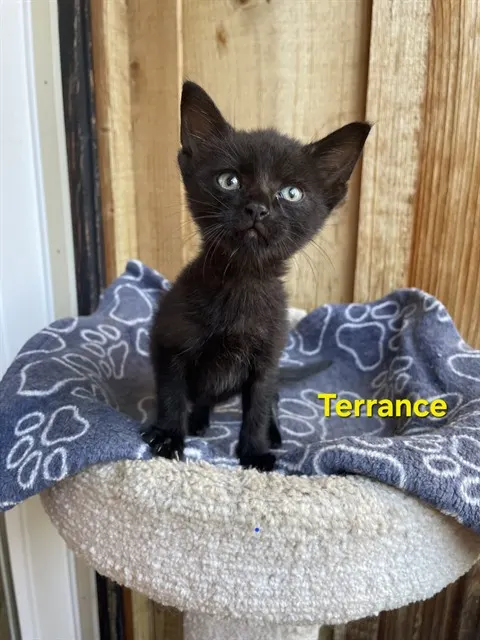 Terrance